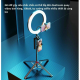 Test coupon image 600×600