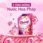 Nước Giặt Xả Chante 8in1 Hương Hoa Hồng Pháp Lôi Cuốn Sạch Sâu
