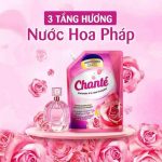 Nước Giặt Xả Chante 8in1 Hương Hoa Hồng Pháp Lôi Cuốn